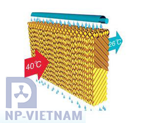 Tấm làm mát cooling pad NP Việt Nam