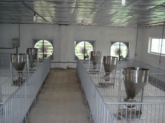 Trang trại chăn nuôi thông thoáng nhờ hệ thống quạt thông gió