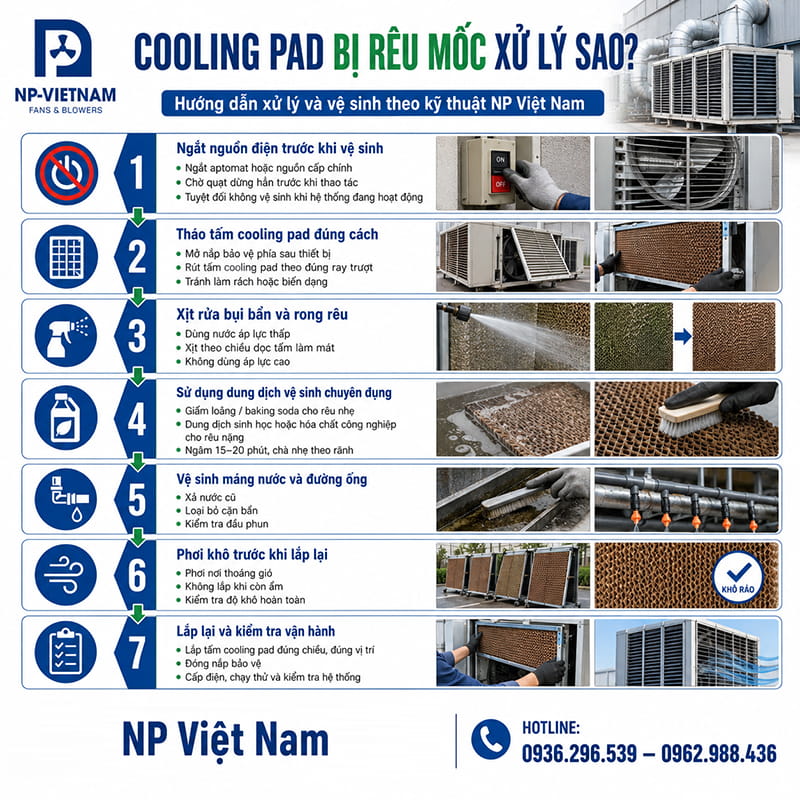 Cooling pad bị rêu mốc xử lý sao?