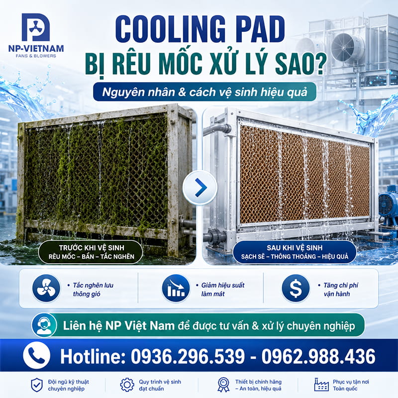 Cooling Pad bị rêu mốc xử lý sao?