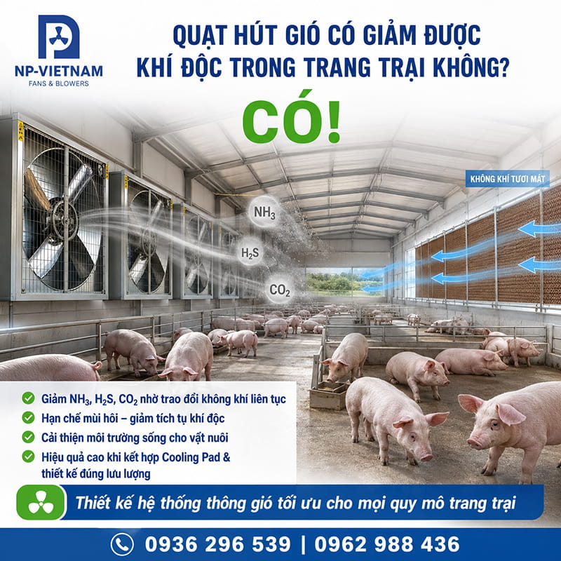 Quạt hút gió có giảm được khí độc trong trang trại không?