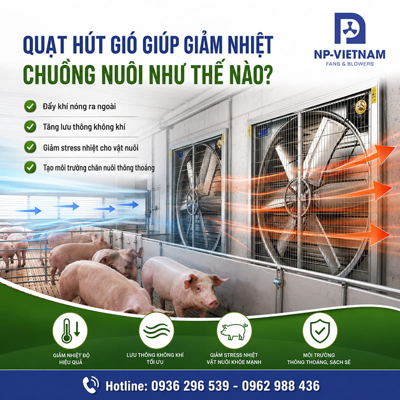 Quạt hút gió giúp giảm nhiệt chuồng nuôi như thế nào?