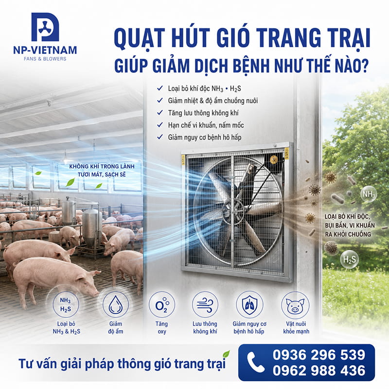 Quạt hút gió trang trại giúp giảm dịch bệnh như thế nào?