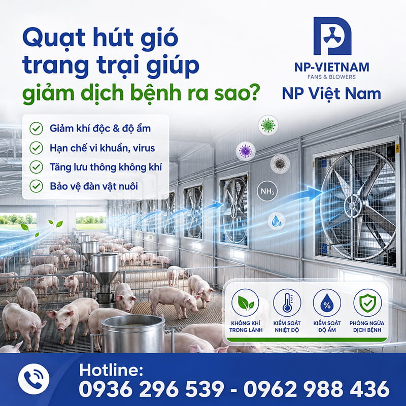 Quạt hút gió trang trại giúp giảm dịch bệnh ra sao?