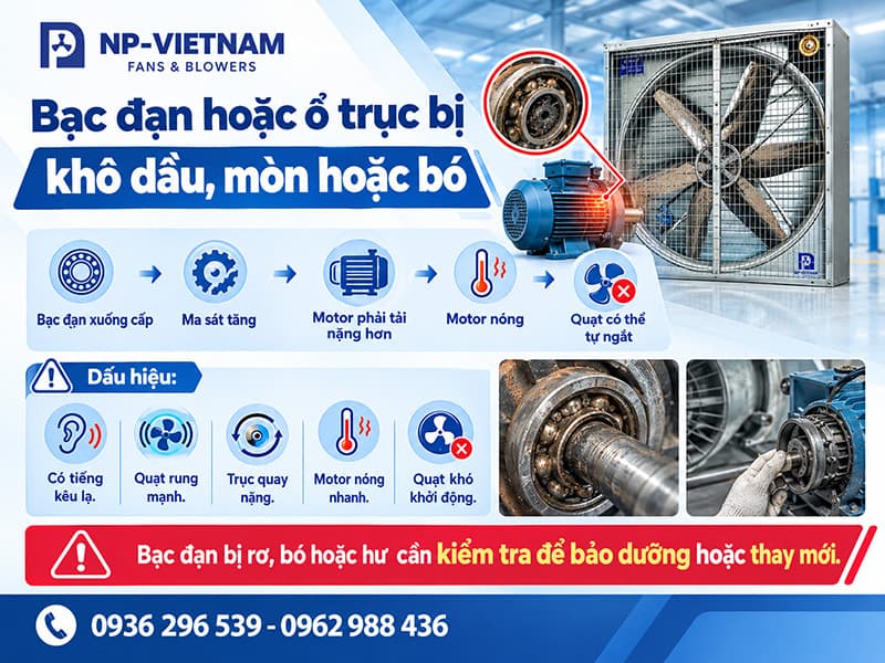 Bạc đạn hoặc ổ trục bị khô dầu, mòn hoặc bó